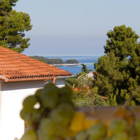 Studio Apartman Nega 2 Rovinj Eksteriør bilde