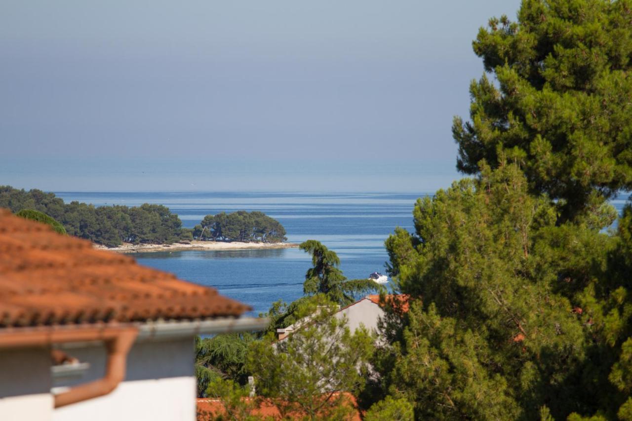 Studio Apartman Nega 2 Rovinj Eksteriør bilde